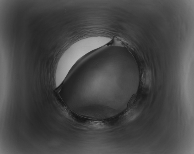 X0000087010424200705071530