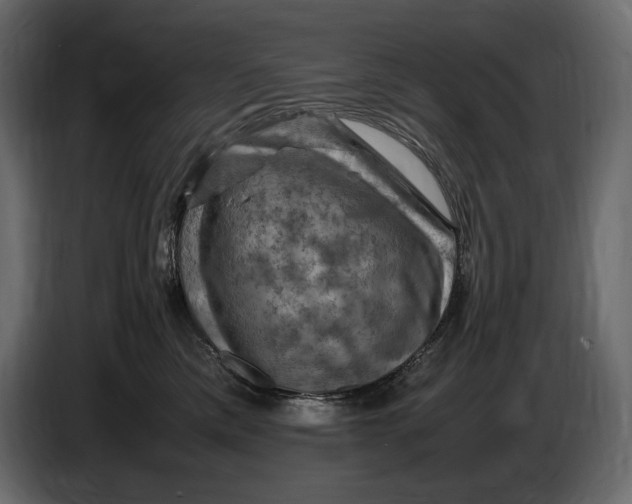 X0000087010425200705071530