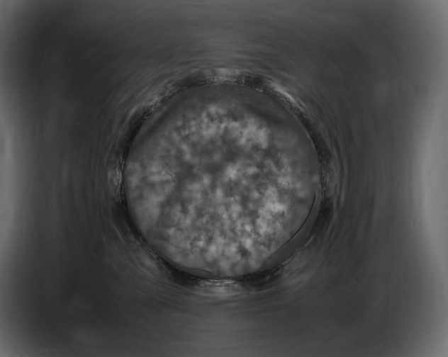 X0000087010427200705071530