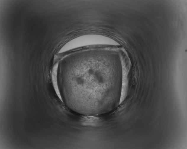 X0000087010429200705071529