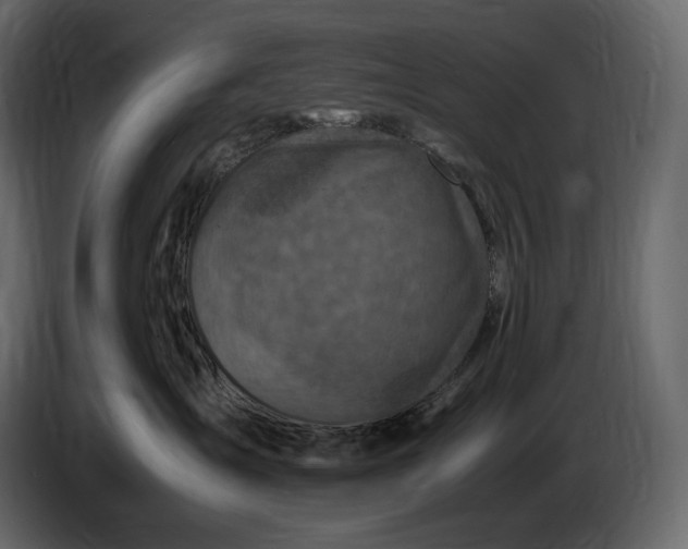 X0000087010431200705071529