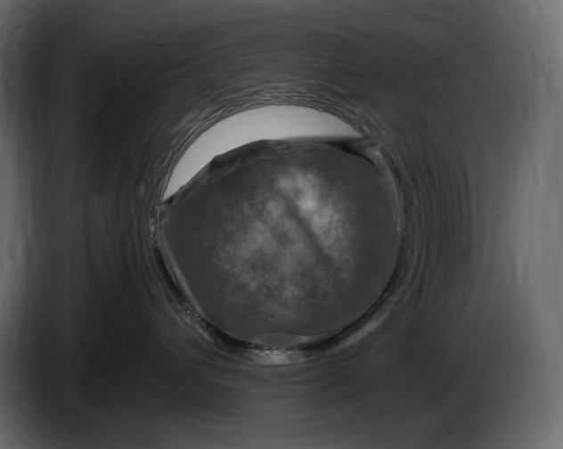 X0000087010432200705071529