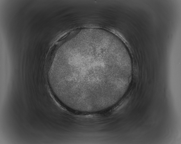 X0000087010433200705071529