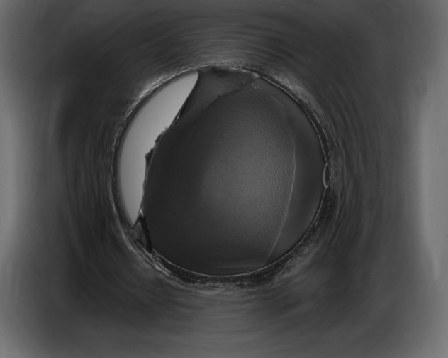 X0000087010434200705071529