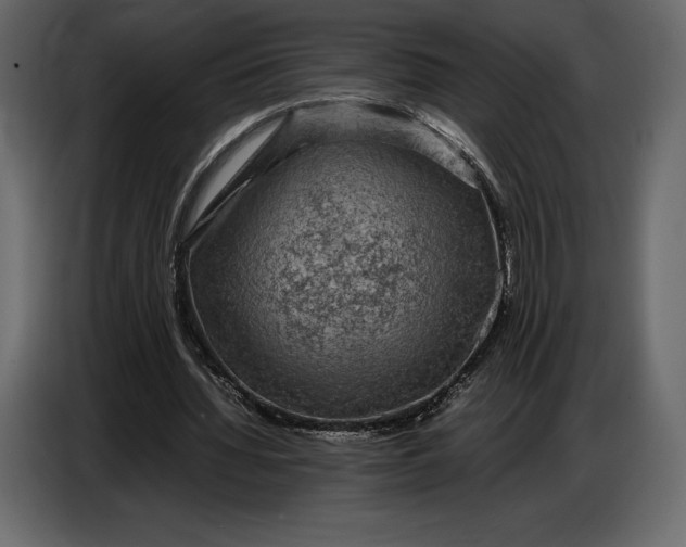 X0000087010436200705071529