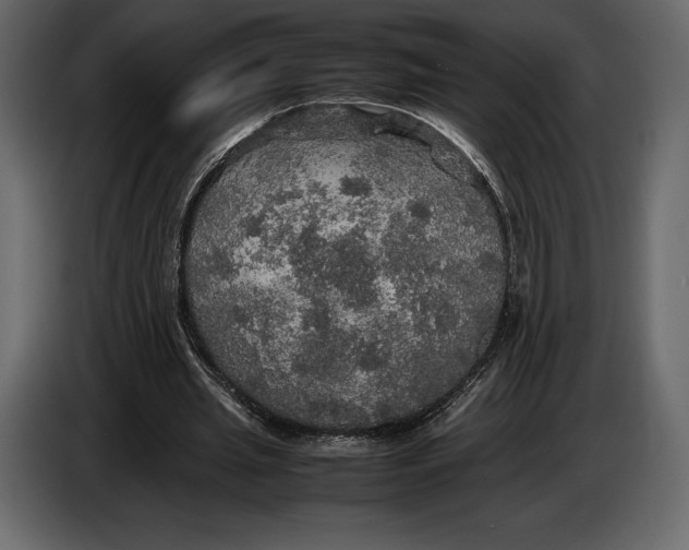 X0000087010437200705071529