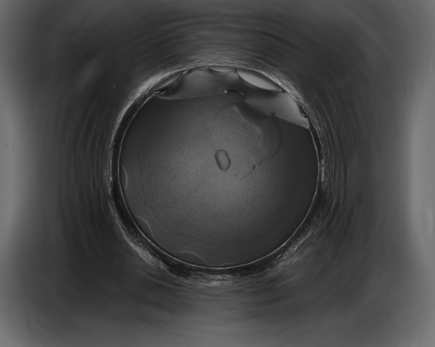 X0000087010438200705071529