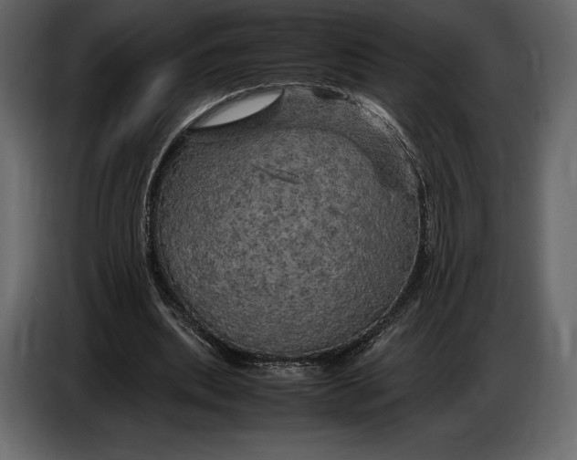 X0000087010439200705071529