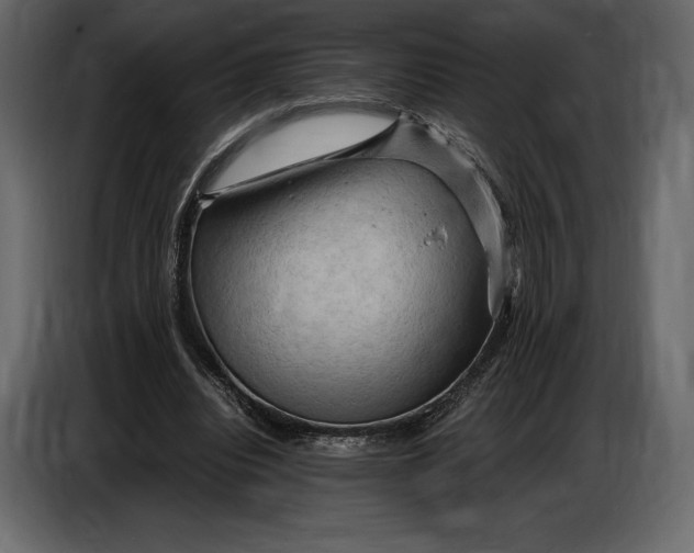 X0000087010440200705071529