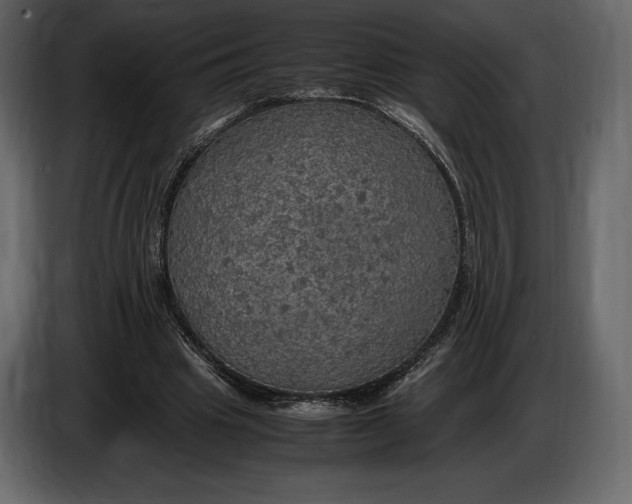 X0000087010441200705071529