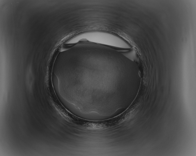 X0000087010442200705071529