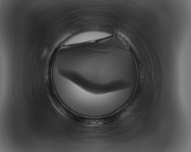 X0000087010443200705071529