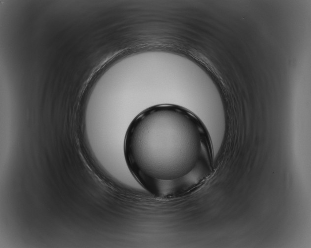 X0000087010444200705071529