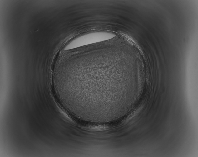 X0000087010445200705071529