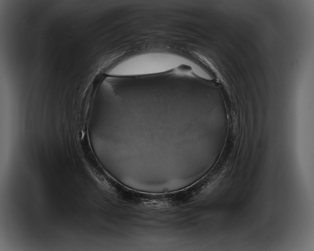 X0000087010447200705071529