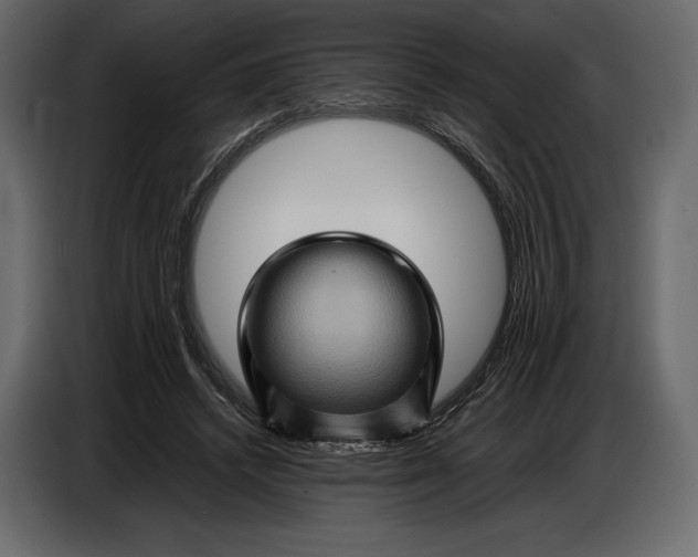 X0000087010448200705071529