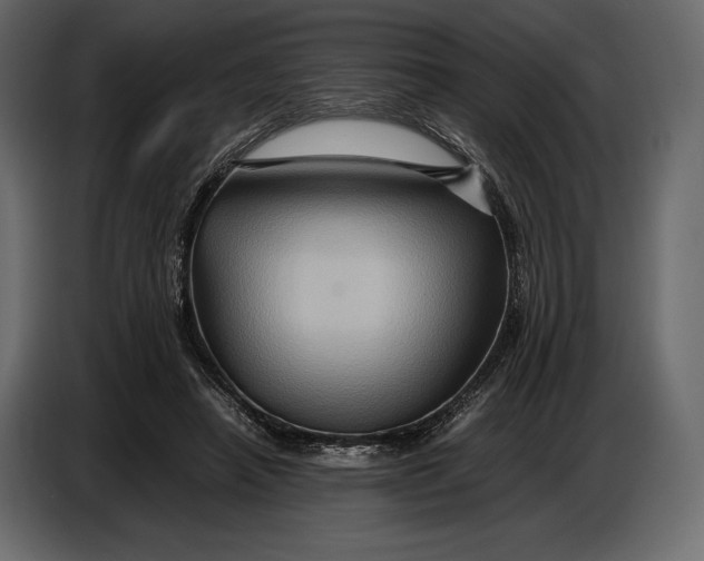 X0000087010450200705071529