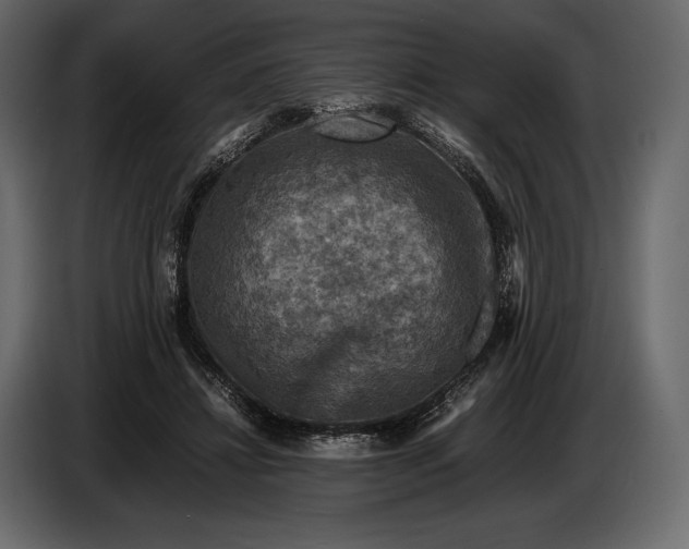 X0000087010452200705071529