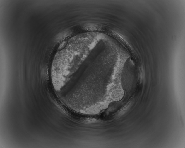 X0000087010453200705071529