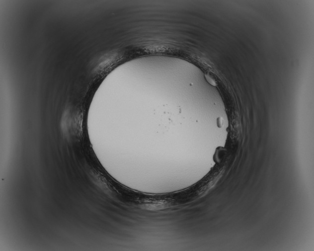 X0000087010454200705071529