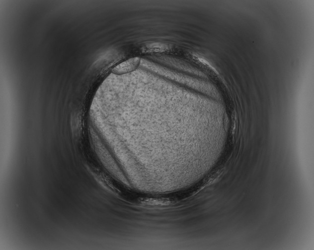 X0000087010455200705071529