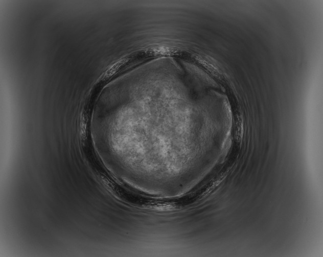 X0000087010456200705071529