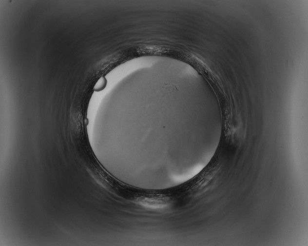 X0000087010459200705071529