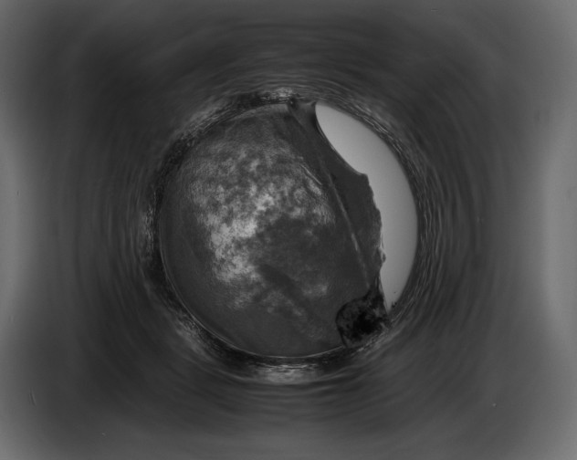 X0000087010461200705071529