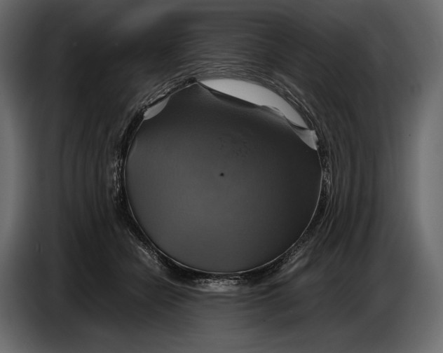 X0000087010462200705071529