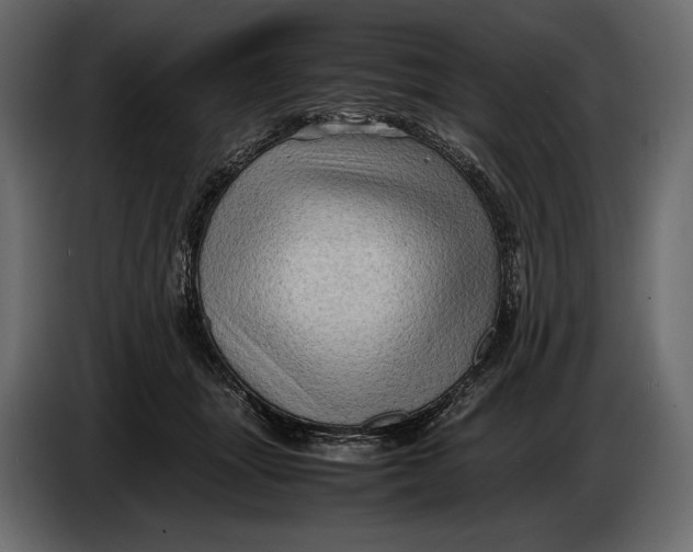 X0000087010463200705071529