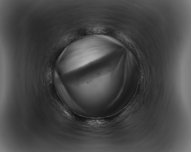 X0000087010465200705071529