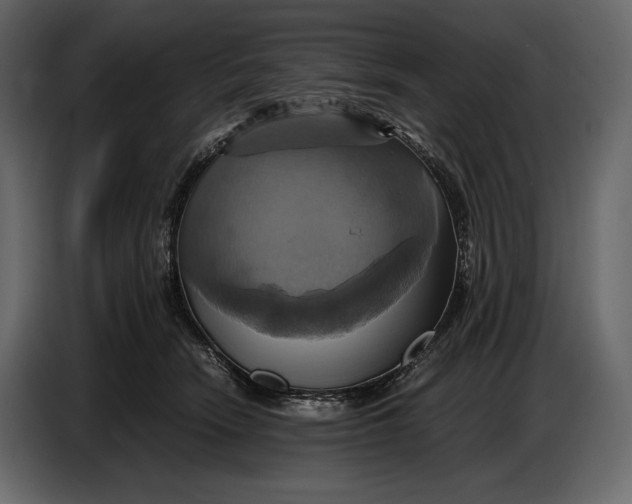 X0000087010466200705071529