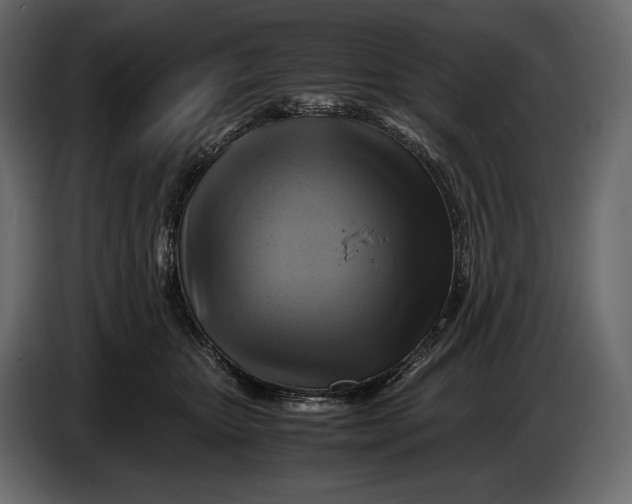 X0000087010467200705071529