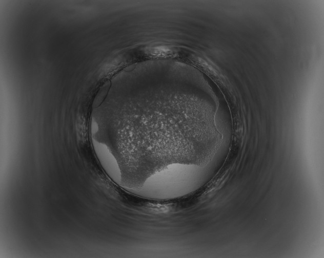 X0000087010469200705071529