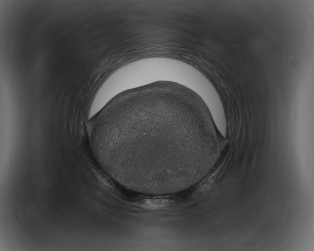 X0000087010470200705071529