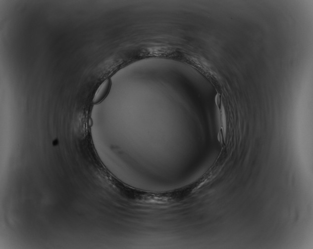 X0000087010471200705071529