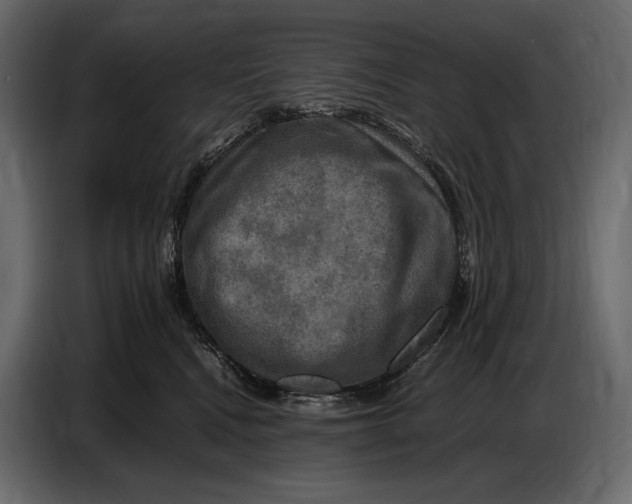 X0000087010472200705071529