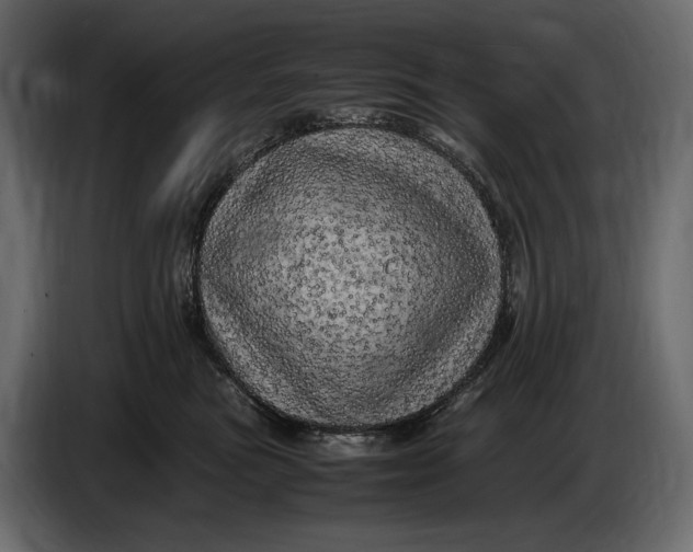 X0000087010473200705071529