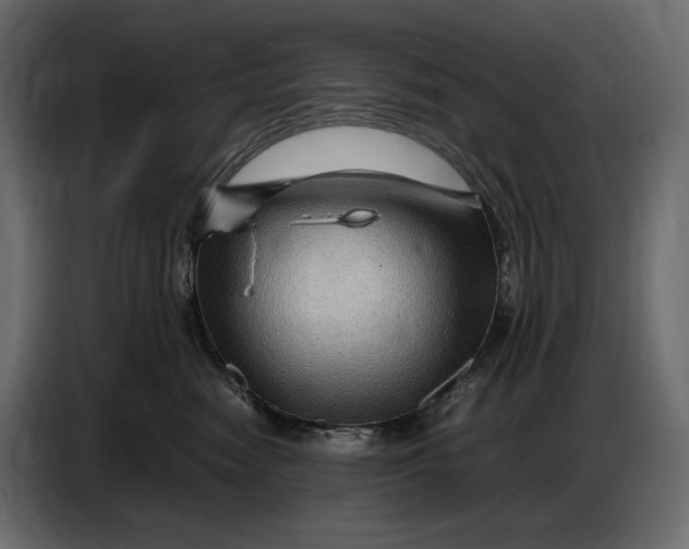 X0000087010474200705071529