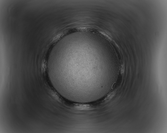 X0000087010476200705071529