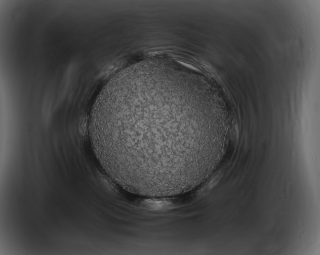 X0000087010477200705071529