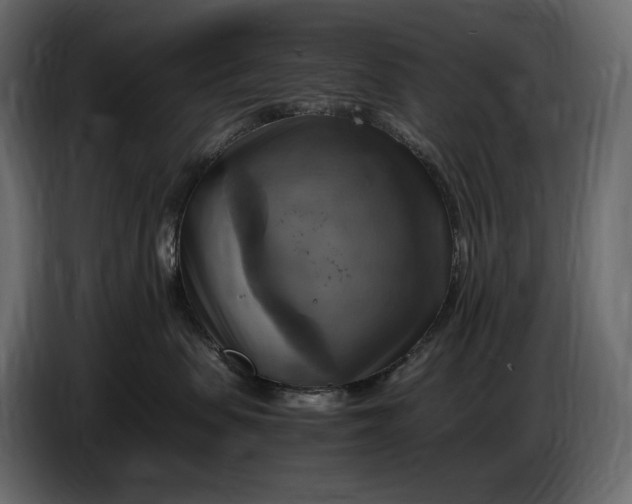 X0000087010479200705071529