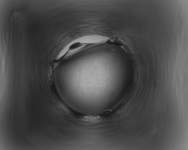 X0000087010480200705071529