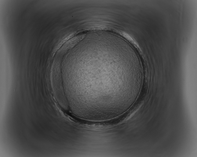 X0000087010481200705071529