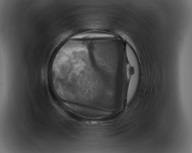 X0000087010482200705071529