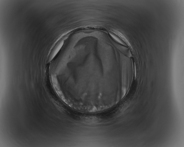 X0000087010483200705071529