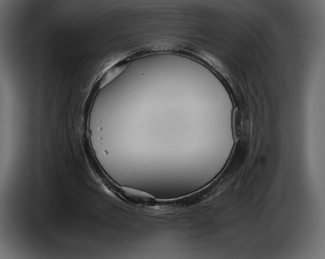 X0000087010485200705071529