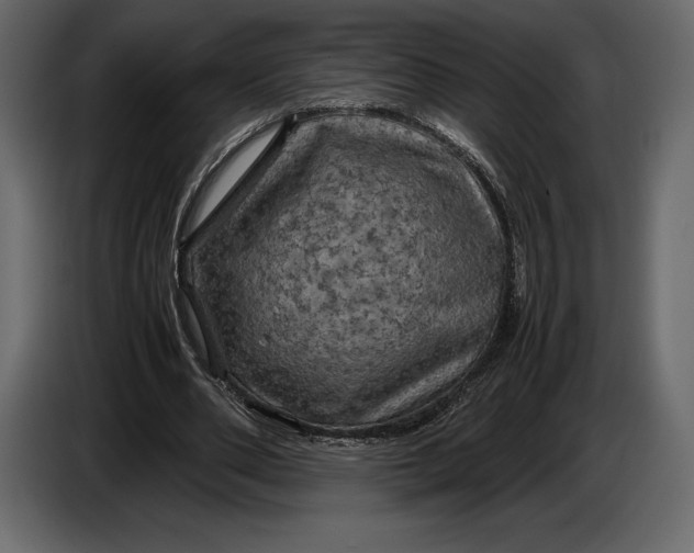 X0000087010486200705071529