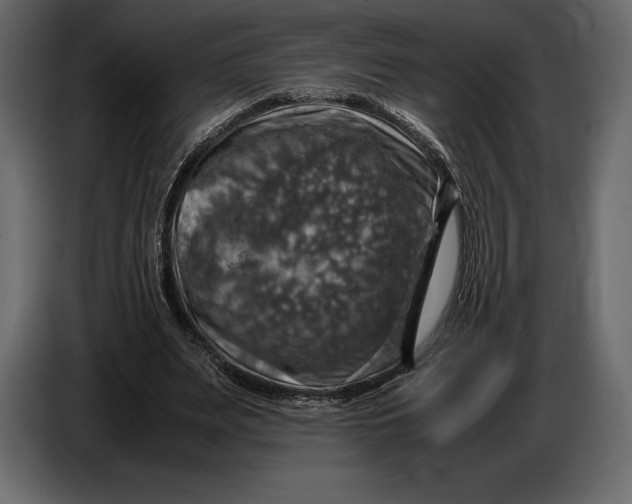 X0000087010487200705071529