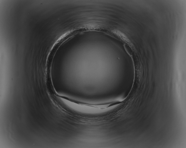 X0000087010488200705071529